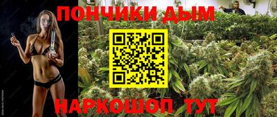 сатива Волгодонск