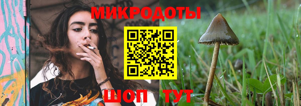 Галлюциногенные грибы Magic Shrooms Аргун